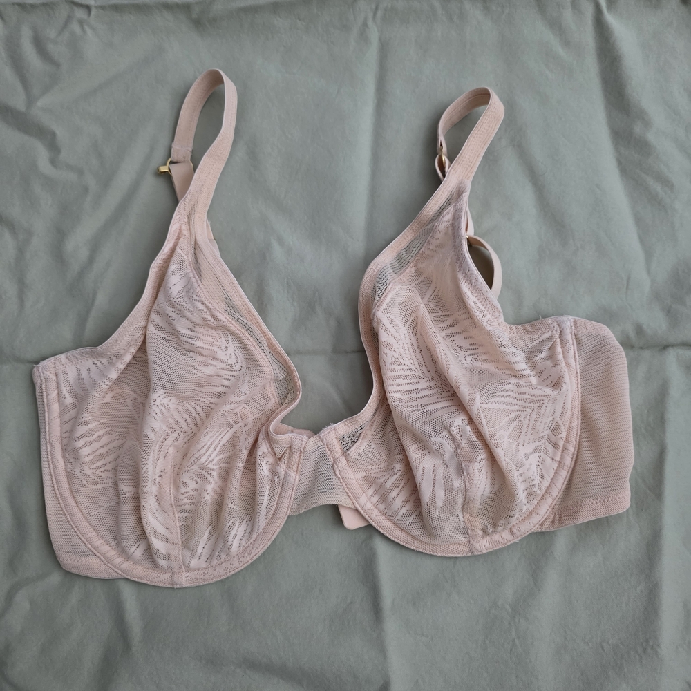 Lively Sheer Lace Bra in Blush